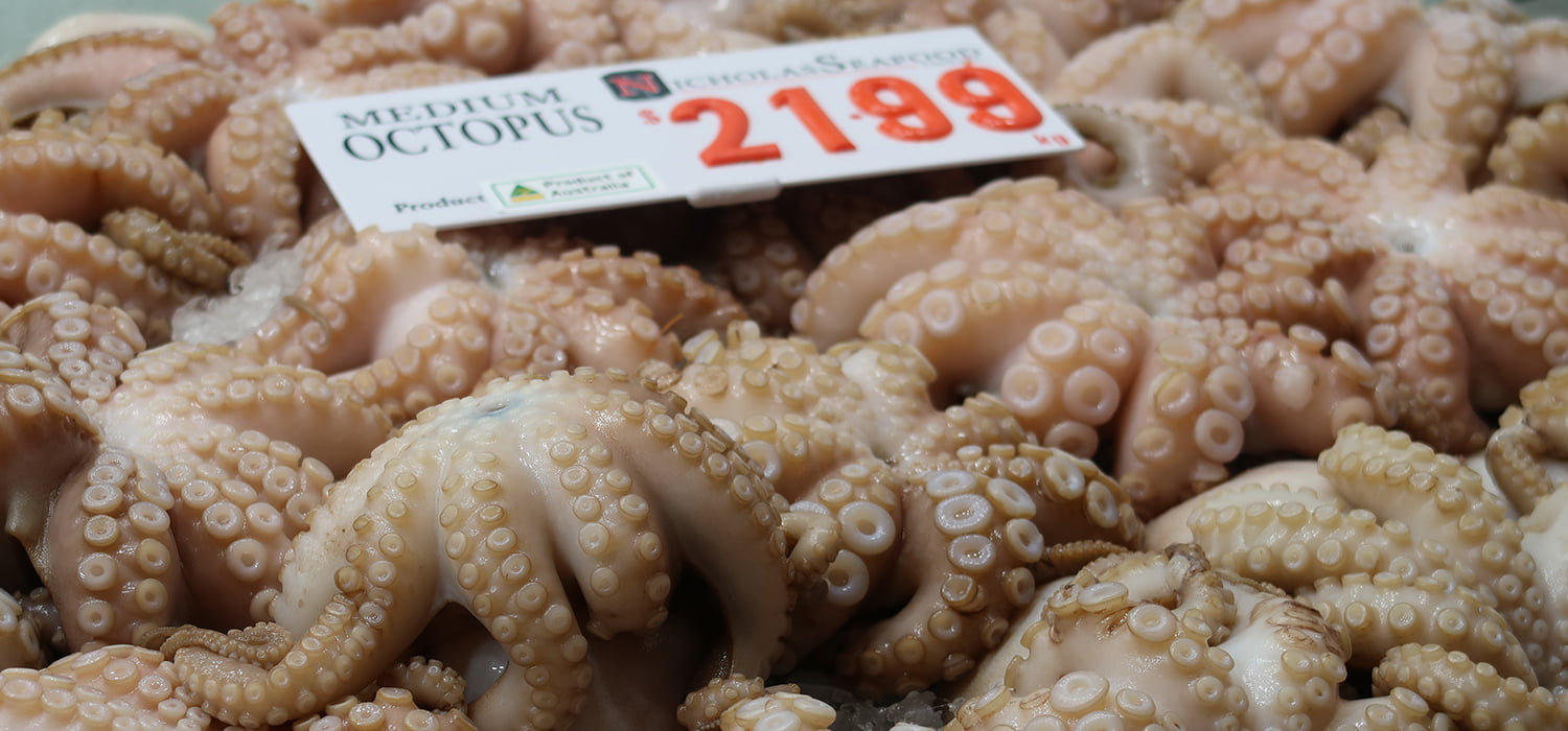 Fish-market-octopus-Australia